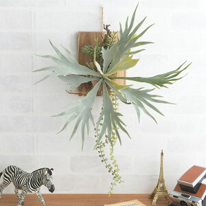 yyjz Brown. uE tFCNO[ rJNV_ EH[nMO AJVA 20 991760 tFCNO[ Ǌ| nMO   O[ CeA  A yb