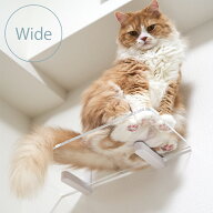 キャットステップ animacolle アニマコレ Catroad+ キャット ワイドステップクリア cp259 猫 賃貸 キャッ…