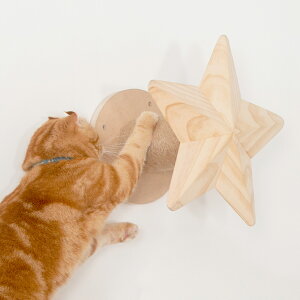 yyjz MYZOO }CY[ Twinkle Star LbgXebv ܂Ƃ BVN-006 L LbgXebv LbgEH[N Ǖt Ǌ| ܂Ƃ  Vv MY ZOO k yz