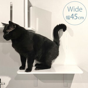 �y�y���j�������z animacolle �A�j�}�R�� Catroad+ ���C�h�X�e�b�v ��45cm �z���C�g NKC-WH1-5003 �L ���� �������� �L���b�g�X�e�b�v �L���b�g�E�H�[�N �� DIY ���C�h �L���b�g�^���[ �z���C�g �� ����