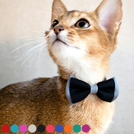 【土日祝も発送】 necono ネコノ 猫の首輪 Luce Ribbon dauble ルーチェ リボン ダブル 猫 首輪 おしゃれ かわいい ギフト 猫用品 ペット用品 ペットグッズ ねこ ネコ