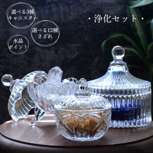 y|Cg tz 򉻃Zbg Iׂ KX LjX^[  TU   |Cg u uhCg 򉻗p  Vg sXY AWXg I 