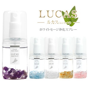 VR p[Xg[ zCgZ[W 򉻃Xv[ LUCAS JX |PbgTCY K^  ґz K [ Xv[ A}Xv[ tOX }XNXv[ A} fB[X 