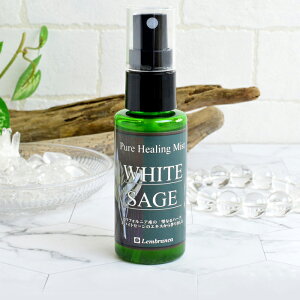 VR p[Xg[yHzsAq[O~Xg zCgZ[W 򉻃Xv[ Xv[ Xv[{g uXbg ANZT[ Xgbv Ȃǂ̏ Mtg v[g 