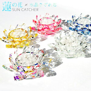 VR yזz Iׂ5 @̉ LOTUS TLb`[  50g Zbg uNX^KX CeA G   ^  fB[X Y  