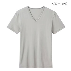 20%OFF GUNZE �O���[ �A�Z�h���� V�l�b�NT�V���c �x�^���u���ɂǂ��ւ�� �����Y (M�EL�ELL�T�C�Y) MCA615