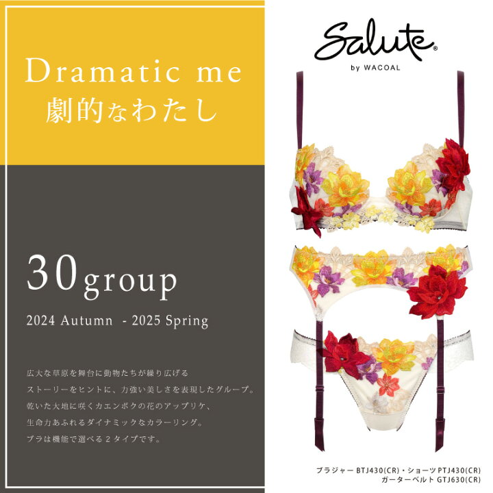 楽天市場】25%OFF ワコール Wacoal サルート salute 30グループ 30g  