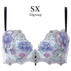 25%OFF ���R�[�� Wacoal �T���[�g salute 23�O���[�v 23G �v�b�V���A�b�v P-UP 3/4�J�b�v�u���W���[ ���� �P�i ���f�B�[�X ���� D�EE�EF�J�b�v BTJ423 glm