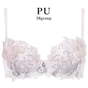 25%OFF ���R�[�� Wacoal �T���[�g salute 38�O���[�v 38G �v�b�V���A�b�v P-UP 3/4�J�b�v�u���W���[ ���� �P�i ���f�B�[�X ���� D�EE�EF�J�b�v BTJ438 glm