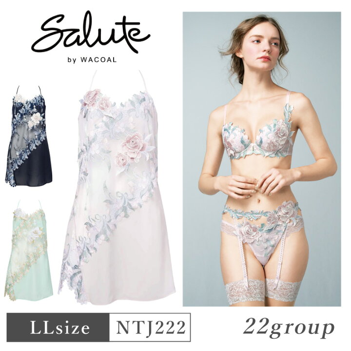 楽天市場】25%OFF ワコール Wacoal サルート salute 22グループ 22G 
