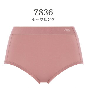 y11/27 9:59܂őΏۂ̃gvi2_ȏ10OFFN[|z gv Triumph XM[ sloggi FREE AR Maxi JX FREE Allround t[ I[Eh ͂ݐ[߃V[c Ci[ TCY LL-3LT