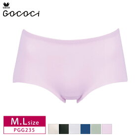 20%OFF ワコール GOCOCi ゴコチ サニタリーショーツ ビキニ ハイカット ナイロングループ M・Lサイズ PGG235 3goY