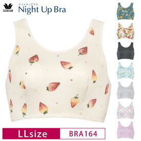 20%OFF ワコール Wacoal ナイトアップブラ Night Up Bra おやすみブラ 夜用ブラ ナイトブラ バストケア 下垂防止 ノンワイヤーブラ (LLサイズ) BRA164 3wY