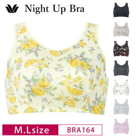 20%OFF ワコール Wacoal ナイトアップブラ Night Up Bra おやすみブラ 夜用ブラ ナイトブラ バストケア 下垂防止 ノンワイヤーブラ (M・Lサイズ) BRA164 3wY