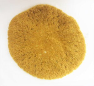 x[X yCG[z x[X tFAg[h Xq Lbv wA w lp[ Nepal