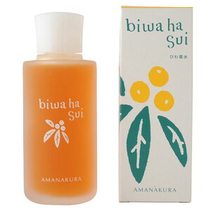 A}iN тt i`n[u[VBA ϐ