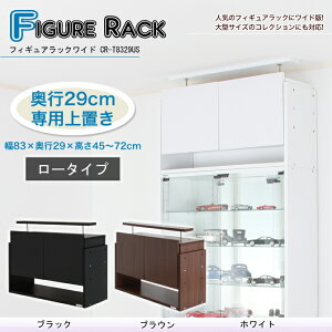 tBMAbN Ch[tu [^Cvs29cm nC^CṽtBMAbNVœ˂ΔQ̈萫 [ nk΍ fBXvCRNVP[XV