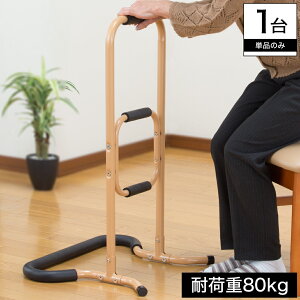 手すり 玄関 寝具 介護の人気商品 通販 価格比較 価格 Com