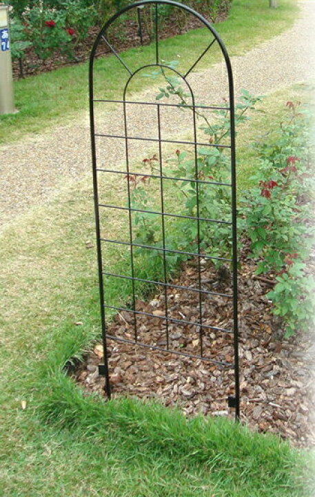 楽天市場 クラシックフェンス ロータイプ 2枚組 Ybif 1 2p 簡単設置 ガーデニング アイアンフェンス アイアン 柵 庭 園芸 エクステリア フェンス 花壇 シンプル 家具のインテリアオフィスワン