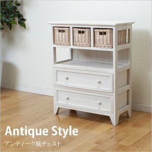 zCg `FXg 60cm AeB[N rO`FXg rOLrlbg  P[X l炵 1l炵 rO{[h rO[ o[  i`