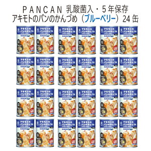 ALg@p̊ʋl@24ʃZbg@ۑH@hЁ@ЊQ@~@ۑH@@pʁ@ӂӂp@5Nۑ@u[x[@i24ʃZbgj