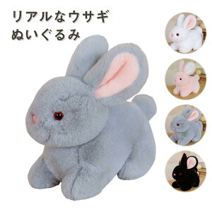  ʂ A ETM e  ETM̂ʂ u rbg D ӂӂ    q v[g a Mtg NX}X 20cm