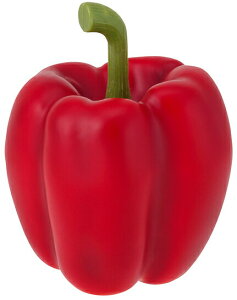 yHiTvEʕE؁Et[cExW^uzpvJ(3P/pbN)(BCt)Ebh@tFCNt[h@fBXvC