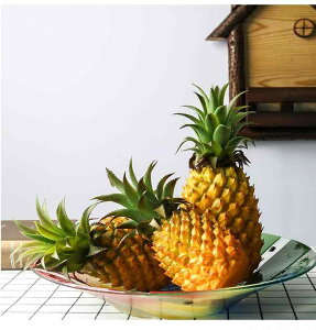 HiTv ͌^ Ɩp Xܗpi ͋[ Hi Hו I HX { X A t[c pCibv