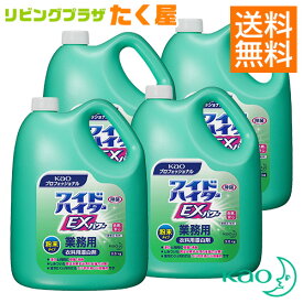 SALE対象商品 送料無料 / 同梱不可 / 花王 ワイドハイターEXパワー 粉末タイプ 業務用 3.5kg×4本 (1ケース) 衣類用漂白剤 洗濯 エリ・そで黄ばみ洗浄力パワーアップ 大容量 詰め替え