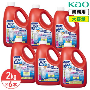 SALEΏۏi s ԉ pCvnC^[ 2kg × 6{ 1P[X tւ ֗p  ւKao vtFbVi Ɩp e SxWF fn  |   pCv 
