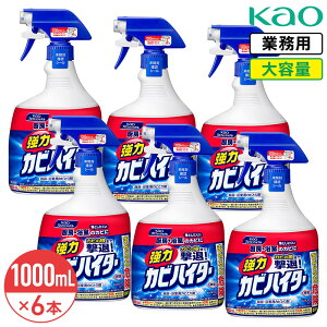 SALEΏۏi s ԉ ̓JrnC^[ Xv[t{ 1000ml × 6{ 1P[X Ɩp e  Jr fn Xv[ r JrƂ ܂ Kao vV[Y