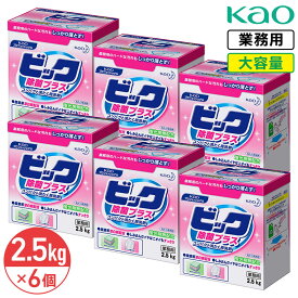 最大400円クーポン配布中 同梱不可 花王 ビック 除菌プラス 微香性 2.5kg × 6本 1ケース 計量スプーン入り 粉末 蛍光剤無配合 業務用 大容量 衣料用洗濯洗剤 洗濯洗剤 洗濯用洗剤 洗濯 洗剤 衣料用洗剤 ランドリー