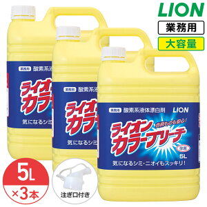 SALEΏۏi CI J[u[` 5L × 3 (1P[X) yfn t Y e Ɩp ߗ V~ ΂ Y  L F   u[` RbNt t LION CI