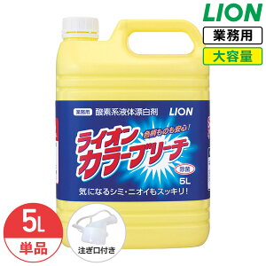 SALEΏۏi CI J[u[` 5L yfn t Y e Ɩp ߗ V~ ΂ Y  L F   u[` RbNt t LION CInCW[