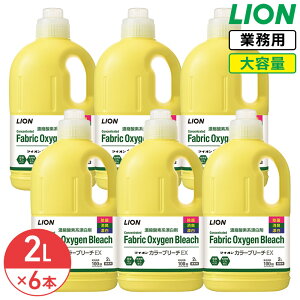 SALEΏۏi CI J[u[`EX 2L × 6 (1P[X) ZkyfnY e Ɩp  R L Y Zk^Cv t̕Y F _fn ΂    u[` LION 