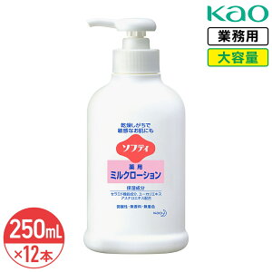 SALEΏۏi ԉ \teB p~N[V 250ml × 12{ 1P[X e Ɩp
