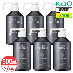 SALEΏۏi ԉ nhXLbVEX fUC{g 500mL × 6 (1P[X) { w򕔊Oi e Ɩp Oō ŉt w w { Kao vV[Y