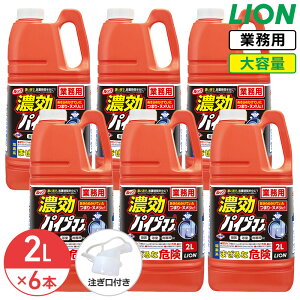 SALEΏۏi ZpCv} 2L × 6{ (1P[X) Zx̃WF^Cv Ɩp CI e lߑւ pCv ܂ jIC pCvN[i[   RbNt t LION CI