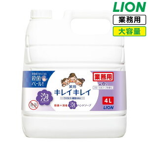 SALEΏۏi CI LCLC p Anh\[v 4L 򕔊Oi Ɩp e lߑւ l A^Cv A nh\[v  w E  RbNt t LION C