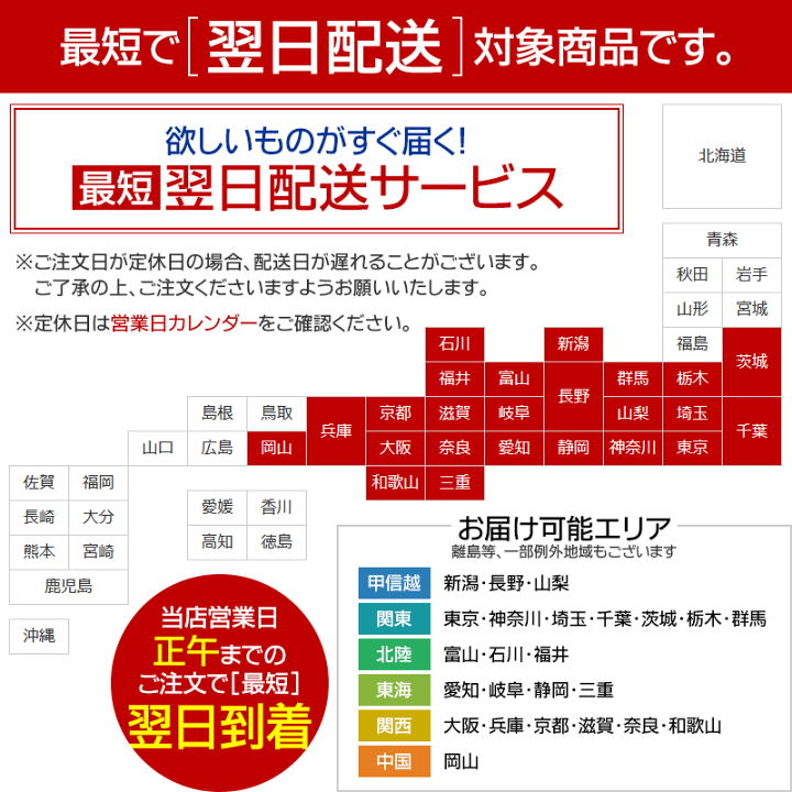 エースプラスター10枚入 | e健康ショップ