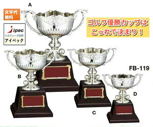 St DJbv CTCY FB-119-C 0.5kg DgtB[ D Jbv  St Ry ƕ\@Г\
