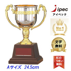 優勝カップ　樹脂製お手頃カップ　FC-125A Aサイズ　高さ24.5cm【文字代無料】　トロフィー　ゴルフ　サッカー　野球　FA-125A
