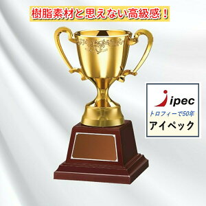 優勝カップ 樹脂製お手頃ゴールドカップ No-2063-A Aサイズ 高さ26cm【文字代無料】 トロフィー ゴルフ サッカー 野球 No-2063-A コンペ シルバーもあります!