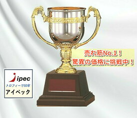 優勝カップ　樹脂製お手頃カップ　FC-125A Aサイズ　高さ24.5cm【文字代無料】　トロフィー　ゴルフ　サッカー　野球　FA-125A