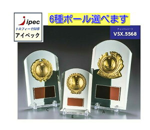 @22cm VSX-5568-A TCY \|@gtB[@TbJ[@싅@TbJ[ o[ oXP@St@n@@6ނIтł܂