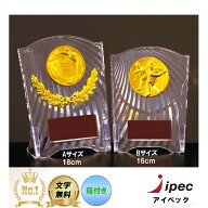 盾 表彰 高さ16cm Bサイズ CCL-5553B 【文字代無料】競技23種類お選びできます トロフィー メダル 野球 …