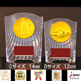 盾 表彰 高さ12.5cm Dサイズ CCL-5553D 【文字代無料】競技23種類お選びできます　トロフィー 表彰　メダル 野球 サッカー バスケットボール ゴルフ バドミントン バレーボール コンペ 剣道トロフィー サッカー 柔道 記念 新人　樹脂製楯 卒団 卒業