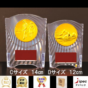  \ 14cm CTCY CCL-5553C y㖳z Z23ނIтł܂ gtB[ _ 싅 TbJ[ oXPbg{[ St oh~g o[{[ Ry  _ LO V