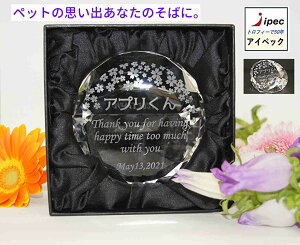 NX^@LOi@ZE331-1-Pre@ybg LOi 傫10cm @ʔv