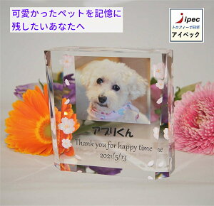 LOi@VOT410-C-PRM@CTCY@ybg LOi 10cm